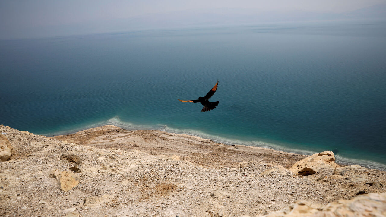 A bird flies near a cliff overlooking the Dead Sea A bird flies near a cliff overlooking the Dead Sea, West Bank July 17, 2018. Picture taken July 17, 2018. REUTERS/Amir Cohen TPX IMAGES OF THE DAY - RC1B8C1FC100
