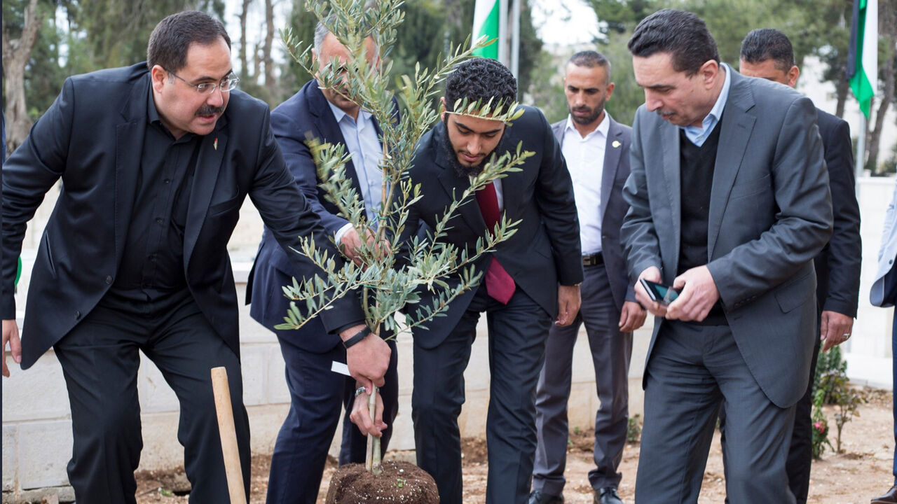 OliveTree.jpg