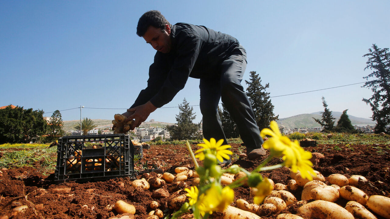 PALESTINIANS-AGRICULTURE/ RTS11MM6.jpg
