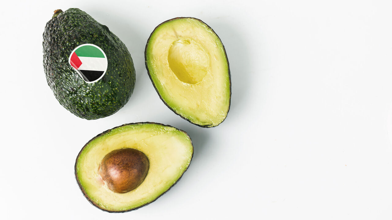 PalestineAvacado5.jpg