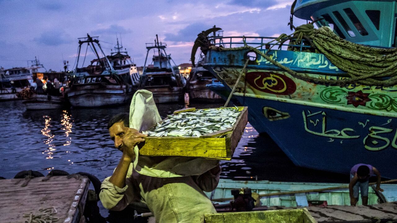 1194820432 A worker unloads iced freshly-caught fish off a fishing boat at a pier in the Egyptian town of Ezbet al-Borg along the Nile river delta's Damietta branch near the estuary into the Mediterranean sea, in the northern Governorate of Damietta, some 265 kilometres north of the Egyptian capital on October 22, 2019. (Photo by Khaled DESOUKI / AFP) (Photo by KHALED DESOUKI/AFP via Getty Images)