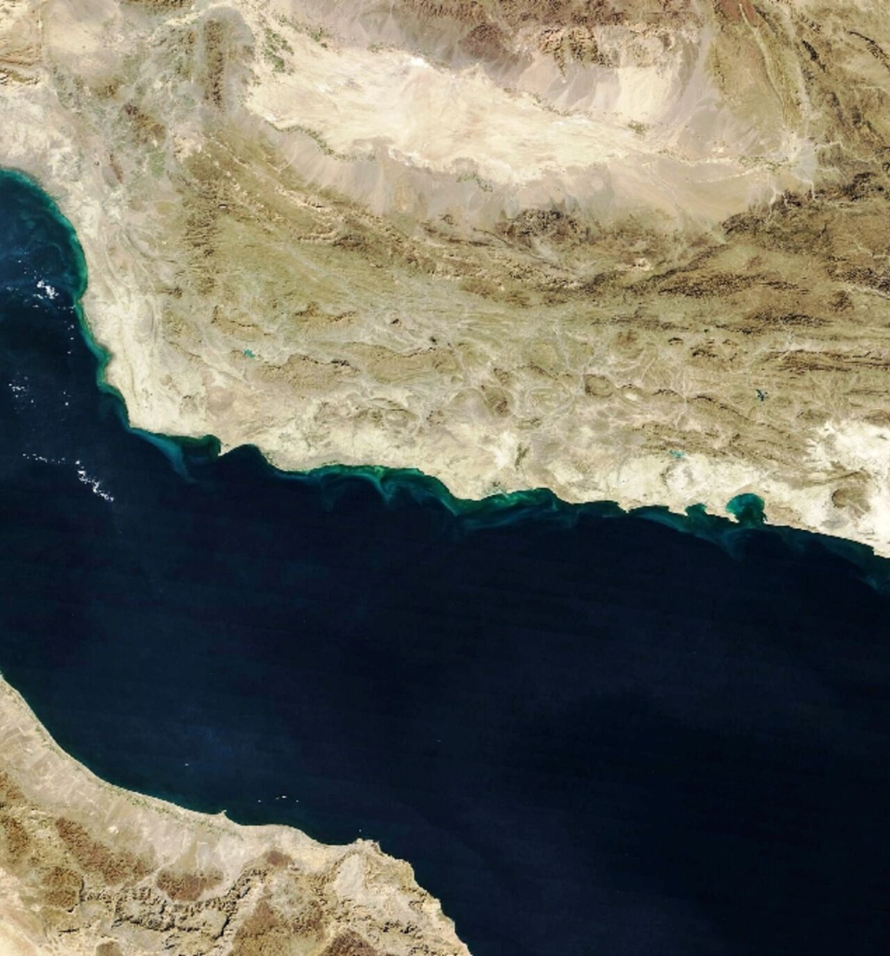 This handout natural-colour image acquired with MODIS on NASA's Terra satellite shows the Gulf of Oman and the Makran region in southern Iran