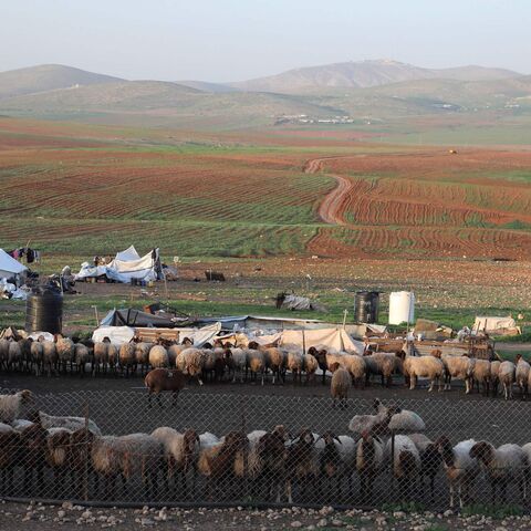 Bedouins' sheep and structures are pictured in the village of Humsah al-Baqia in the Israeli occupied West Bank.