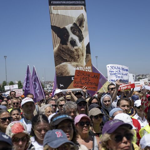 Animal right activists attend a protest against the ruling party AKP's bill aimed at removing stray dogs from the streets, on June 2, 2024, in Istanbul.