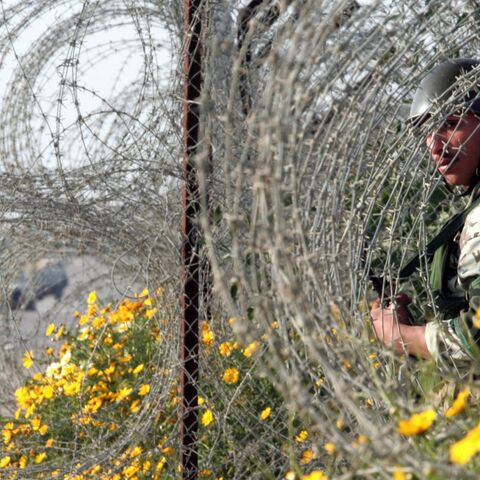 An Egyptian army soldier stands among the bushes in the wired border of the Philadelphi Corridor.