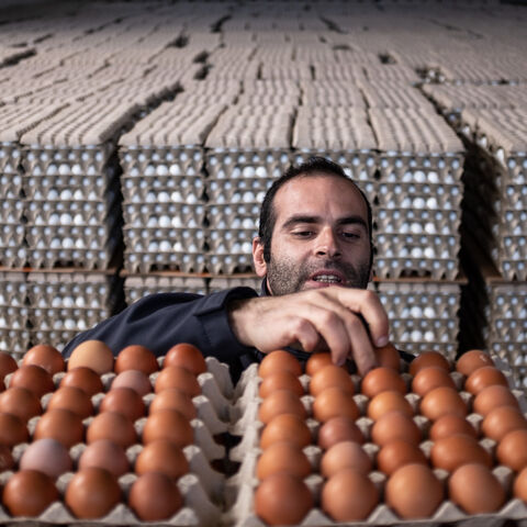 An employee checks eggs at Aytekin chicken farm on on May 06, 2022 in Bandirma, Turkey.