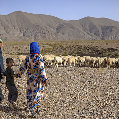 A couple hold their son's hands as they herd sheep near the village of Amellagou where Morocco's last nomads reside, on Sept. 2, 2022.