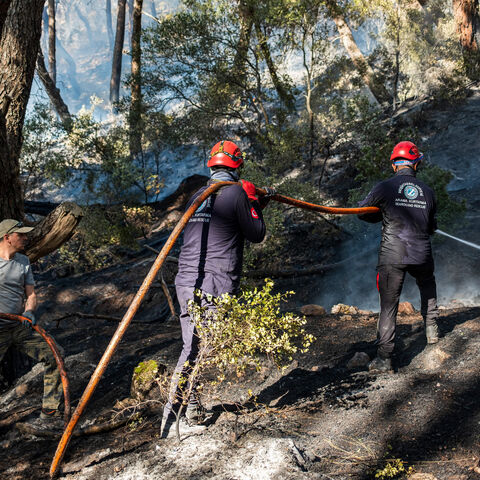 Firefighters spray water to extinguish flames in a forest in Izmir, Turkey, Aug. 16, 2024.