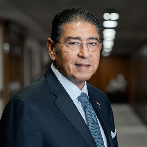 Hisham Ezz Al-Arab 
