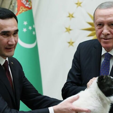 Turkmen Alabai