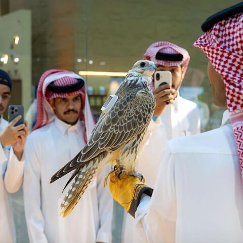 Visitors at the first night of the International Falcon Breeders Auction 2025 in Malham city on Aug. 5, 2025.