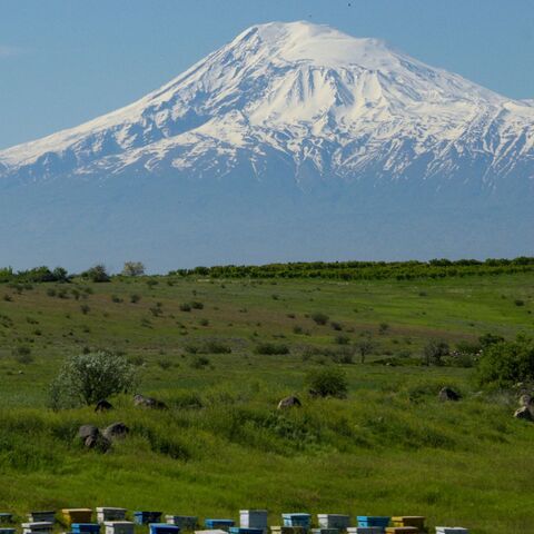 A beekeeper walks by his beehives set in a valley in the Armenian province of Kotayk, with Mount Ararat seen in the background, on May 15, 2019.
