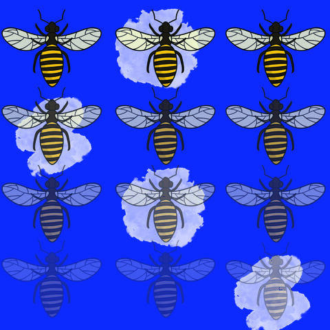 Israeli_bees.jpg