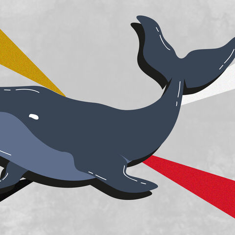 Blue_Whale_Egypt.jpg