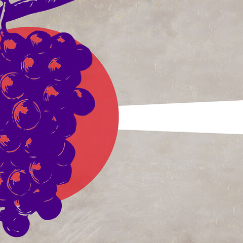 TurkeyGrapes.jpg