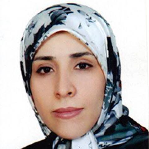 Fereshteh Sadeghi