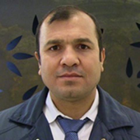 Kamal Sheikho