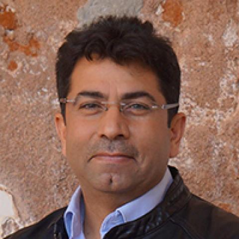Mirza Dinnayi