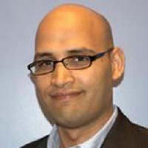 Khalil al-Anani