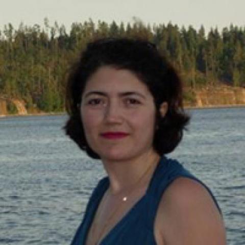 Saideh Jamshidi