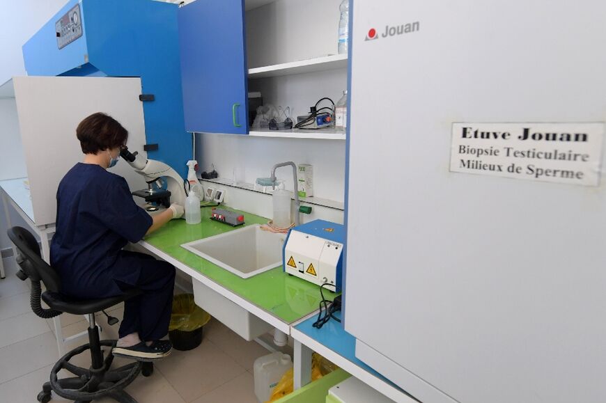 Medical biologist and associate professor Khadija Kacem Berejeb at the Aziza Othmana hospital in Tunis works on a microscope of oocytes before freezing them -- a procedure that has sparked debate in the North African country