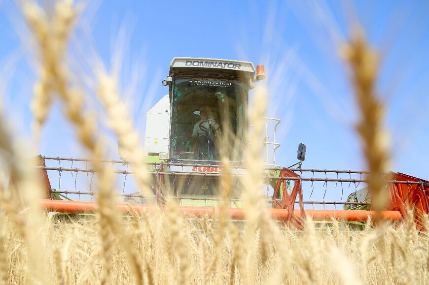 In 2019 and 2020 wheat harvests had reached five million tonnes, enough to guarantee "self-sufficiency" for Iraq but now the country will need to important wheat, according to the agriculture ministry