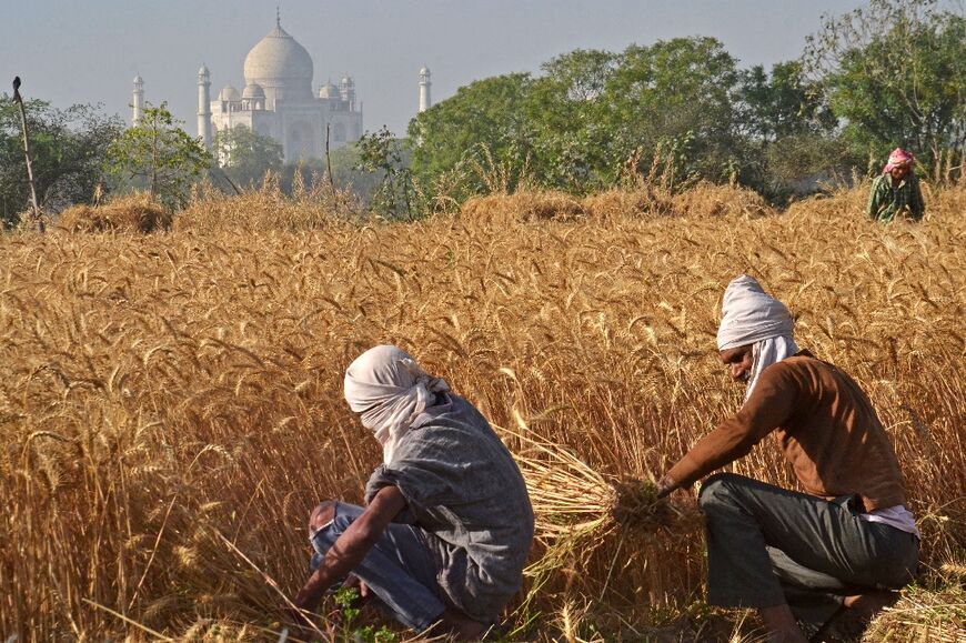 A devastating climate-driven heatwave in India this year has hit harvests 