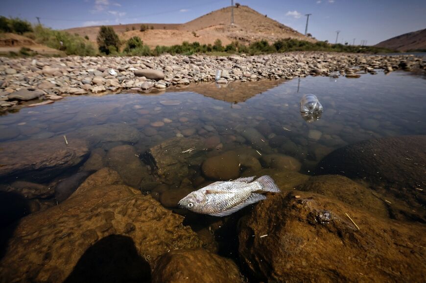 Residents of Morocco's Ouled Essi Masseoud village are suffering from a series of successive droughts