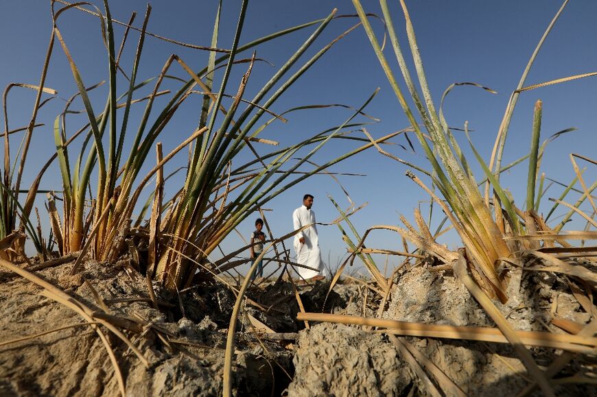 Environmental activist Ahmed Saleh Neema said there were "no more fish", wild boar or even a subspecies of smooth-coated otter in the marshes, a UNESCO World Heritage site whose biodiversity is at risk