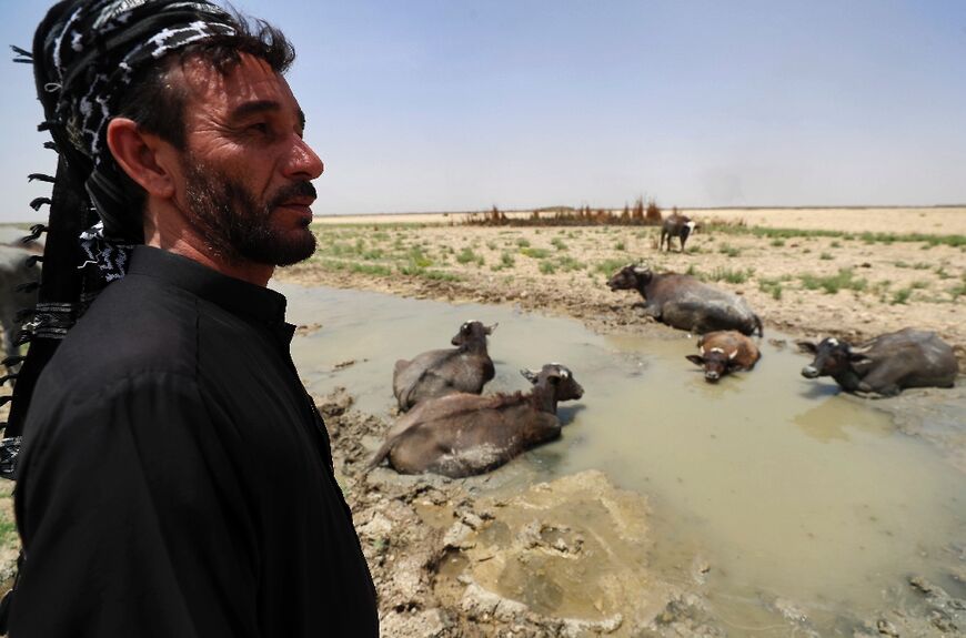 Family members watch carefully over the buffaloes that remain, fearful that the weak, underfed beasts might fall in the mud and die