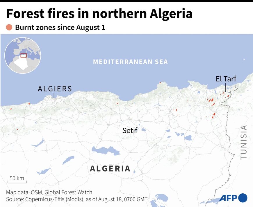 Forest fires in northern Algeria 