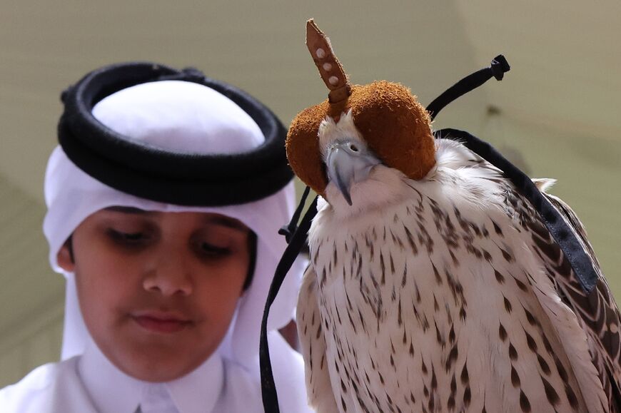 Falconry was added to the UNESCO list of intangible cultural heritage last year, following a bid by a number of countries including Qatar, Saudi Arabia and the United Arab Emirates