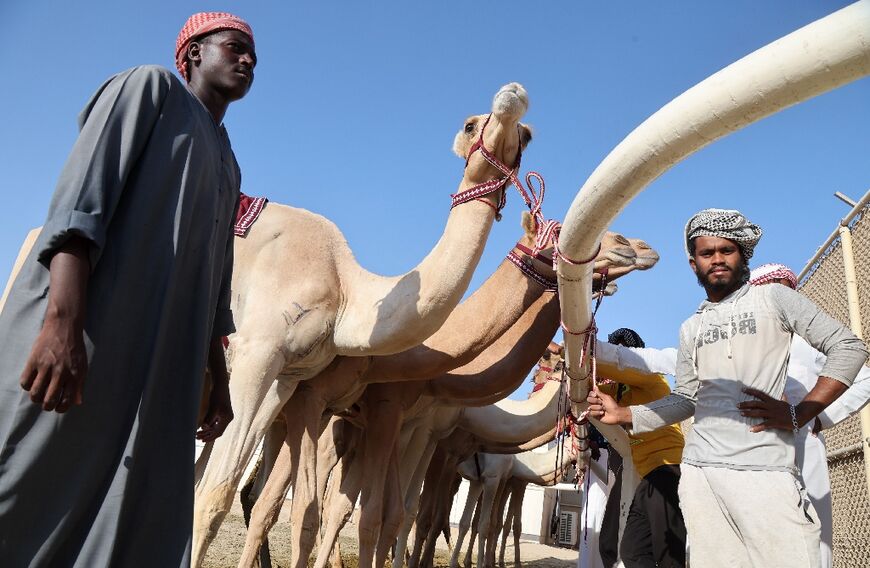 Up until two decades ago, camel jockeys had been young children brought in from poorer countries