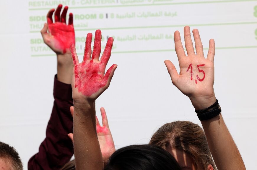 Tan has led protests at the COP27 summit, demanding the negotiators and world leaders sitting in the conference halls to act more urgently for climate justice