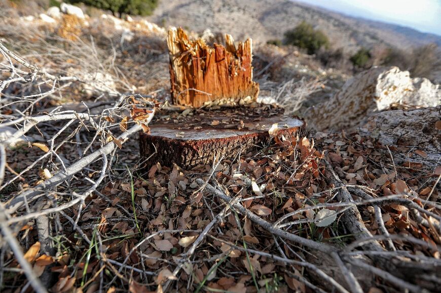 Paul Abi Rached, who heads activist group Terre Liban, has decried rising numbers of 'environmental massacres' in Lebanon 