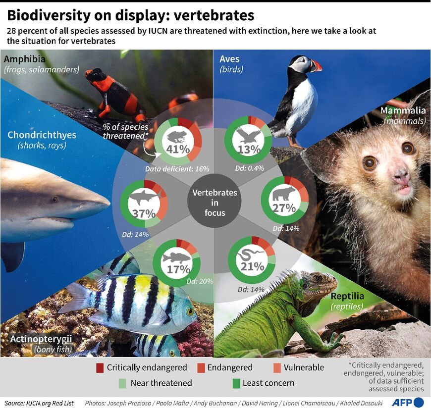 The percentage of vertebrates threatened with extinction