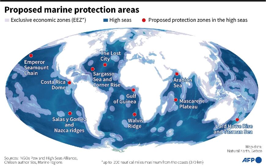 World map showing exclusive economic zones and priority marine zones to protect, according to non-government organisations, the Pew Research Centre and the High Seas Alliance
