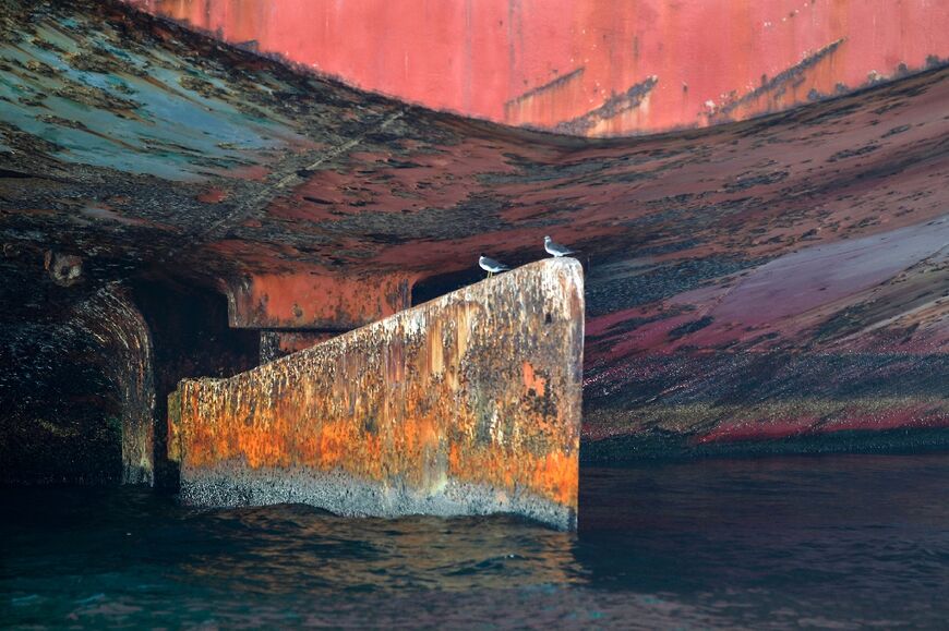 Birds stand on the keel of the rusing FSO Safer, which they have made their home for years