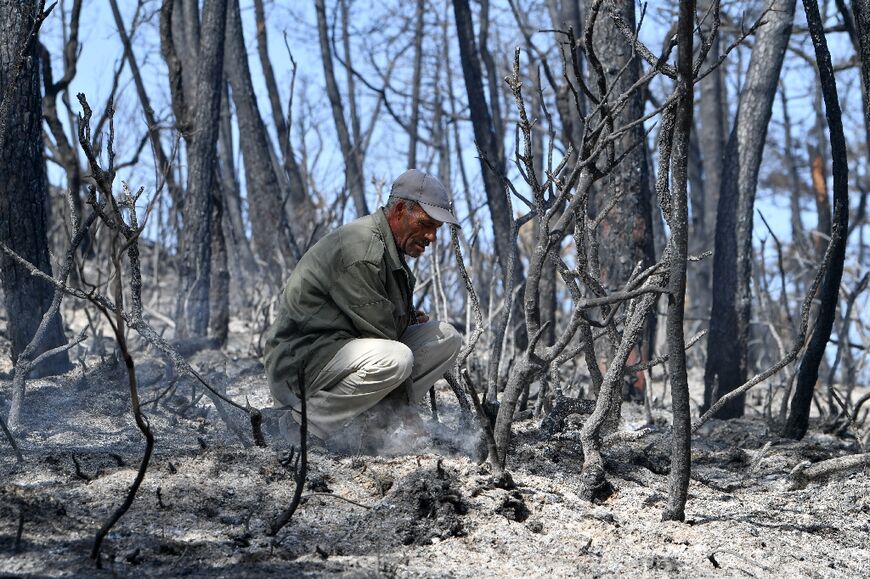 A wildfire in Tunisia near the border with Algeria has forced the evacuation of hundreds of Melloula residents