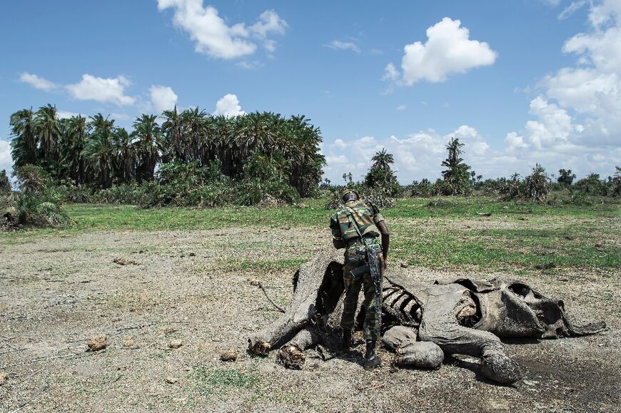 Africa bears the brunt of climate-related disasters such as droughts and flooding despite contributing the least to global warming