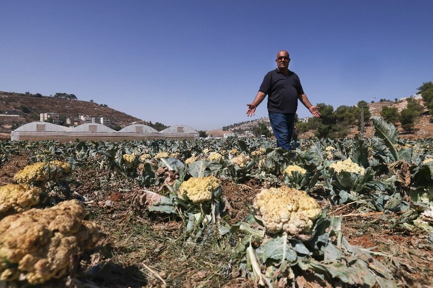 Palestinian farmer Bassam Dudin can no longer draw water from his wells since Israeli forces poured cement into them