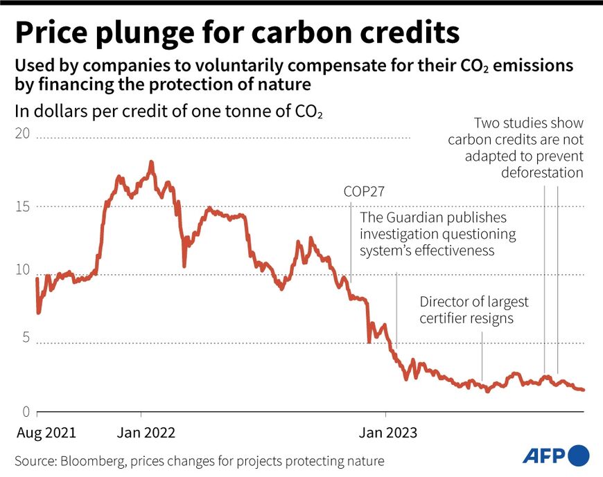 Price plunge for carbon credits