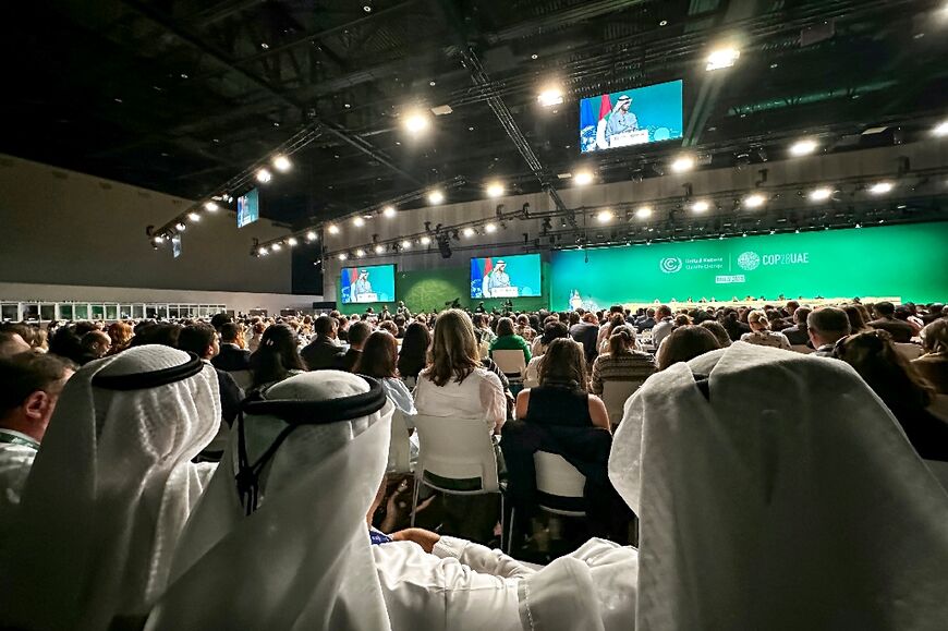 The delegates gathered in the oil-rich UAE since November 30 barely had time to sit down before the deal was declared adopted