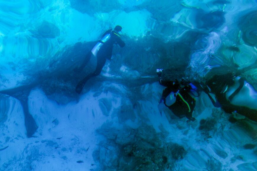 Oman's coral reefs are considered more resilient to human-caused climate change -- but they are not immune