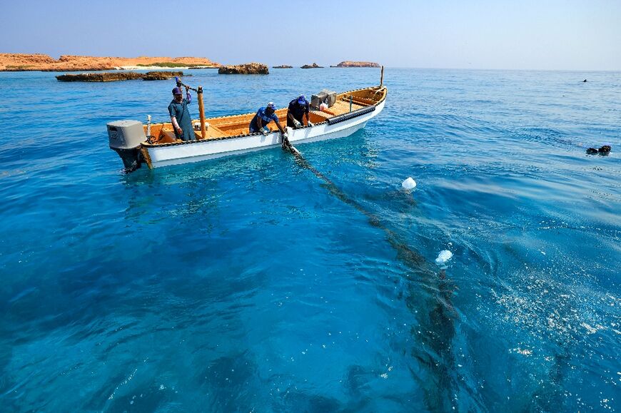 Reef Check Oman aims to build a full database of the country's coral reefs