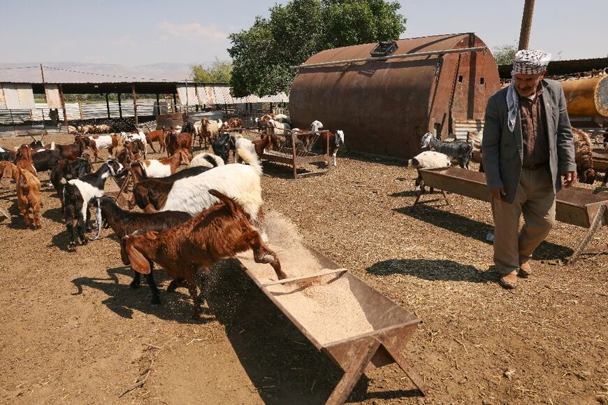 Palestinian herder Talib Edais says Israeli land grabs in the occupied West Bank have accelerated during the Gaza war