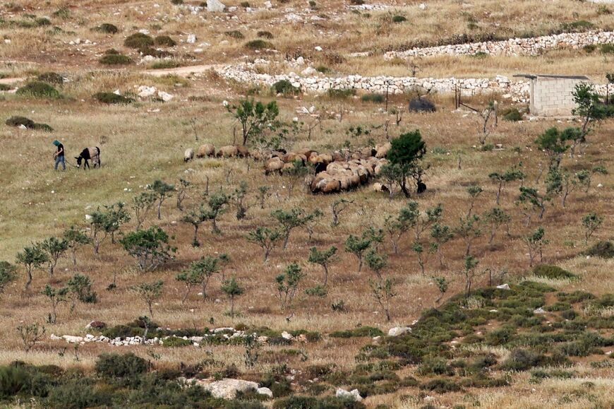 Rights group B'Tselem says settlers in wildcat outposts in the occupied West Bank often enjoy the backing of Israeli security forces