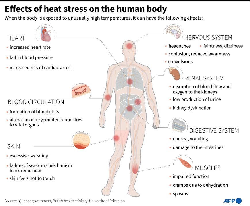 Effects of heat stress on the body