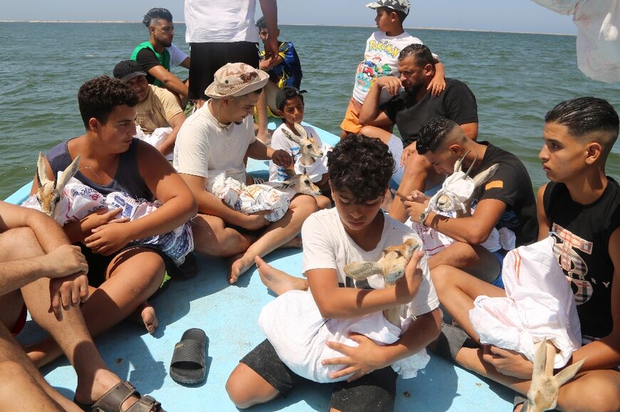 Libya's Farwa island is also home to the loggerhead sea turtle, and is a staging post for flamingos and other migratory birds