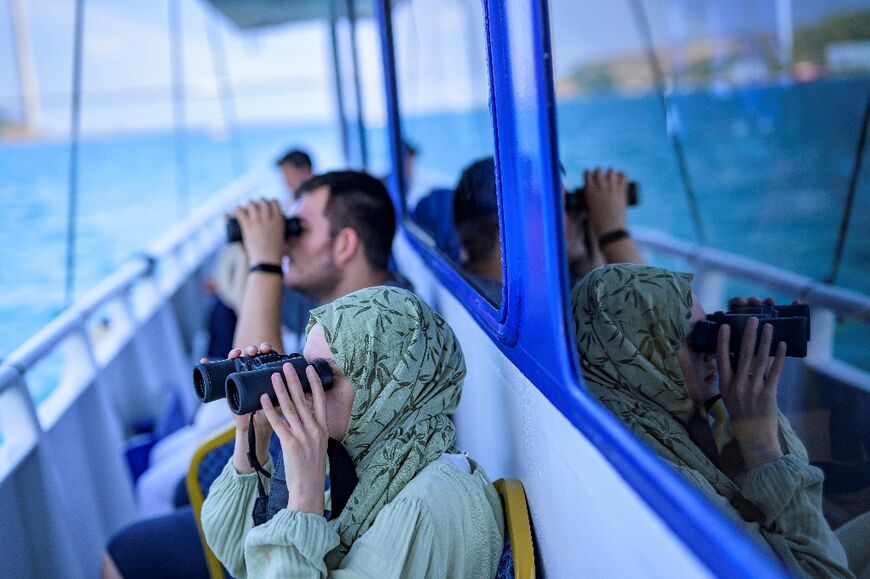 Keep your eyes peeled: the dolphins are one of Istanbul's most gracious sights